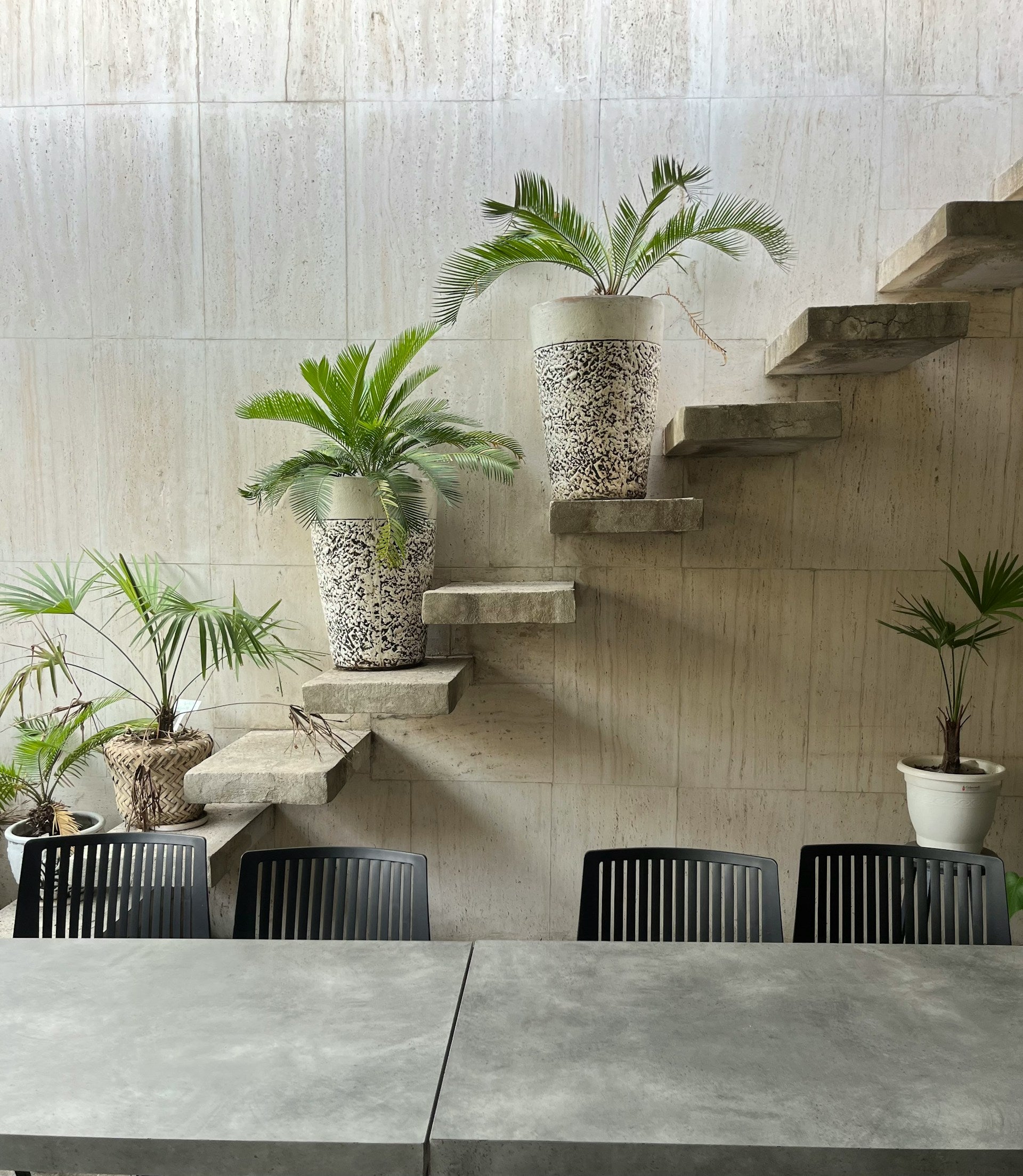 collection-banner-image